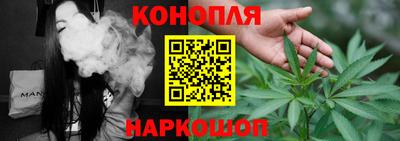 гидра Краснознаменск