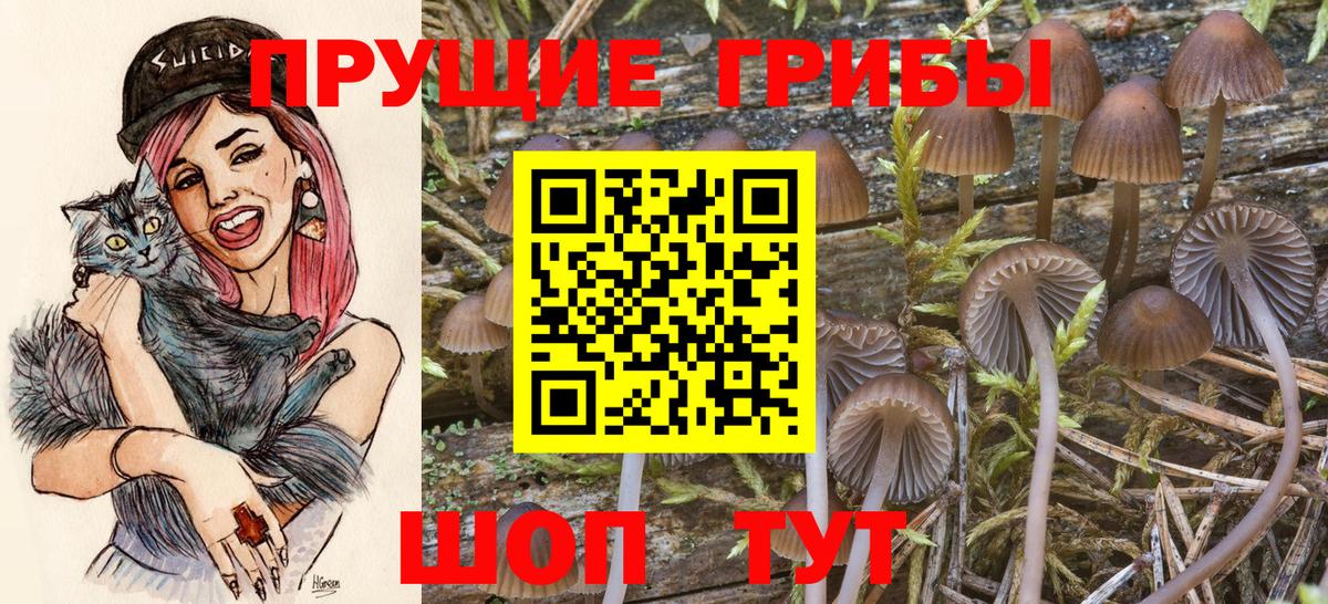 Псилоцибиновые грибы Cubensis Когалым