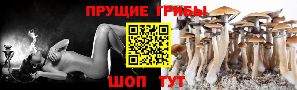Псилоцибиновые грибы ЛСД  Вход с VPN  что такое наркотик  Псилоцибиновые грибы Psilocybine cubensis  Когалым 